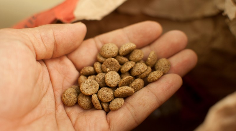 Vente de croquettes