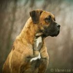 Frida